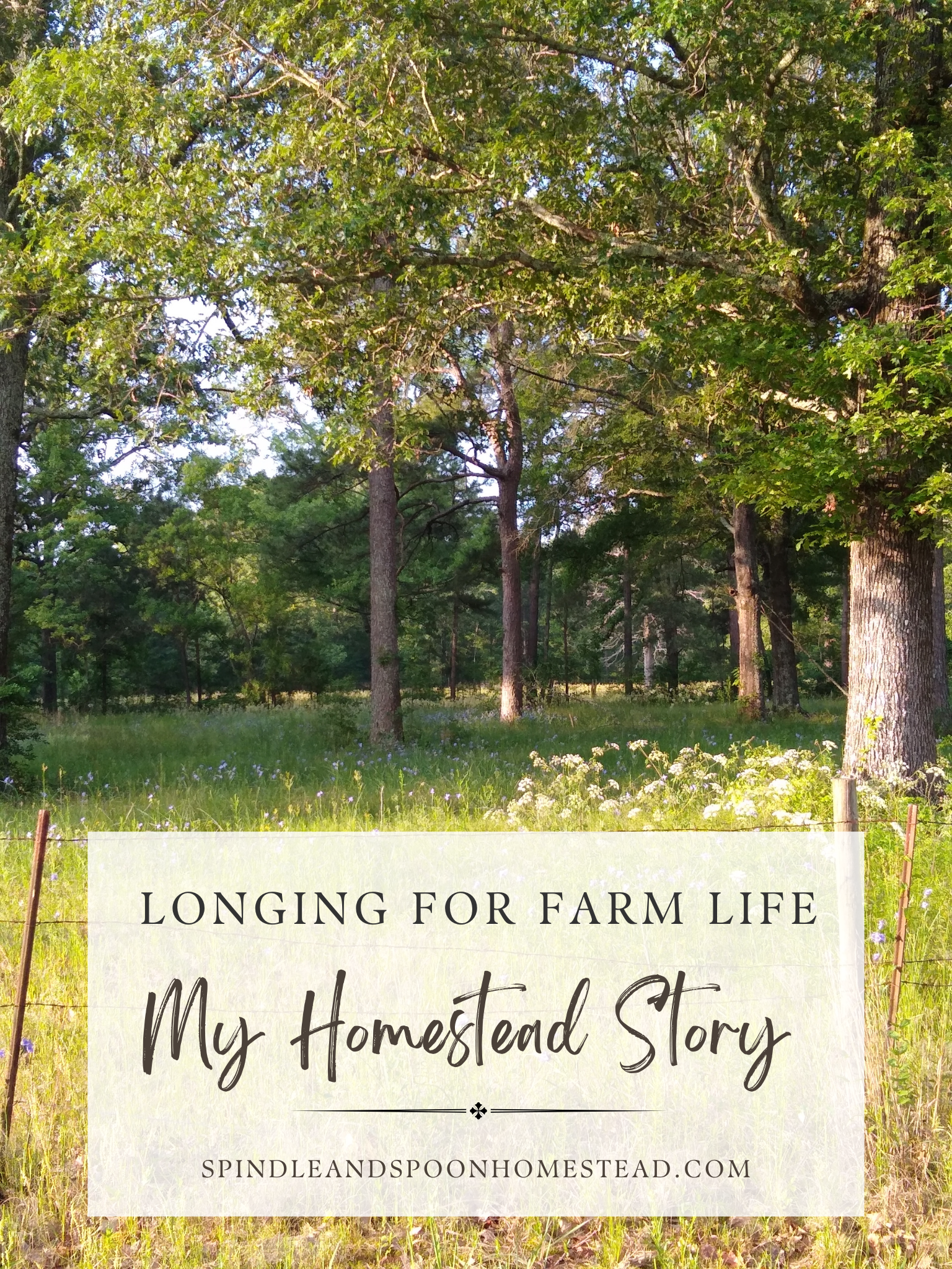a barbed wire fence, a pasture, and several tall oak trees.