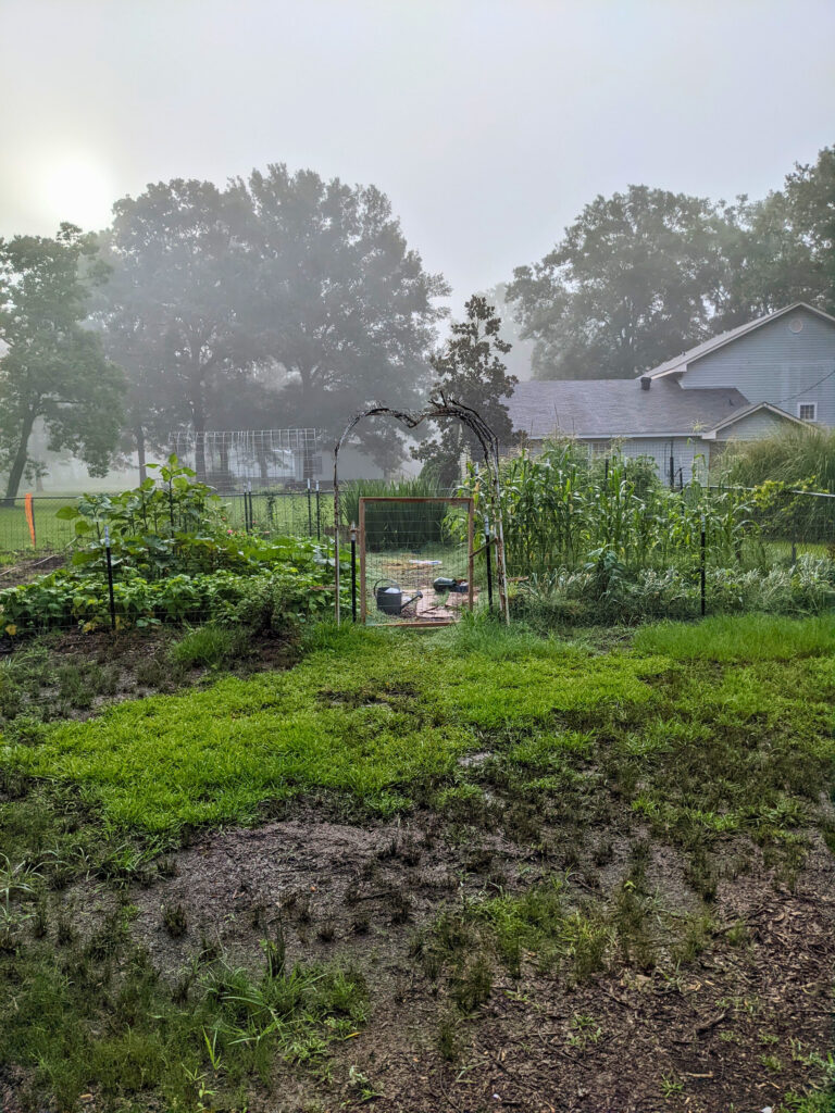 a garden with an arched entrance gate.