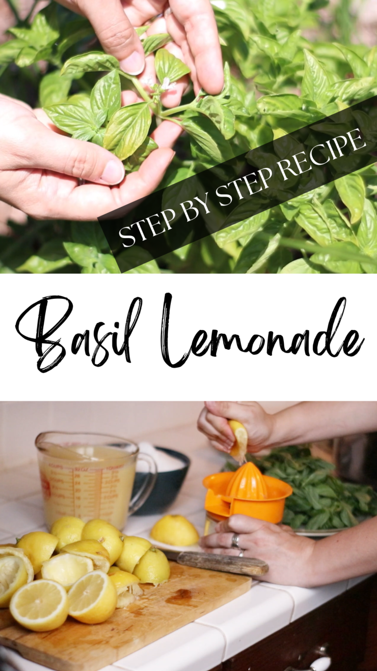 hands picking basil leaves, hands squeezing lemons for juice.