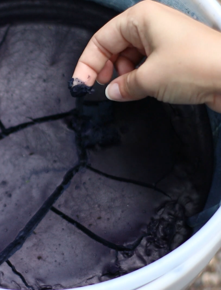 a hand touching dark blue indigo pigment