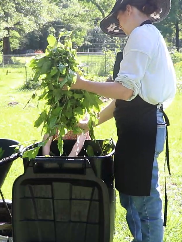 a woman holding a bundle of dripping wet indigo plants over a bin of water.
