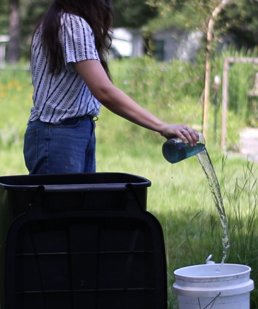 a woman pouring a jar of indigo extraction water into a bucket.