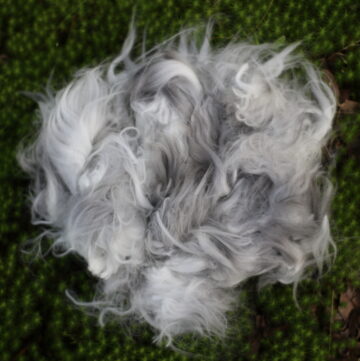 a pile of gray angora rabbit fiber