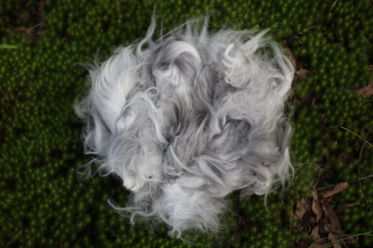 a pile of gray angora rabbit fiber