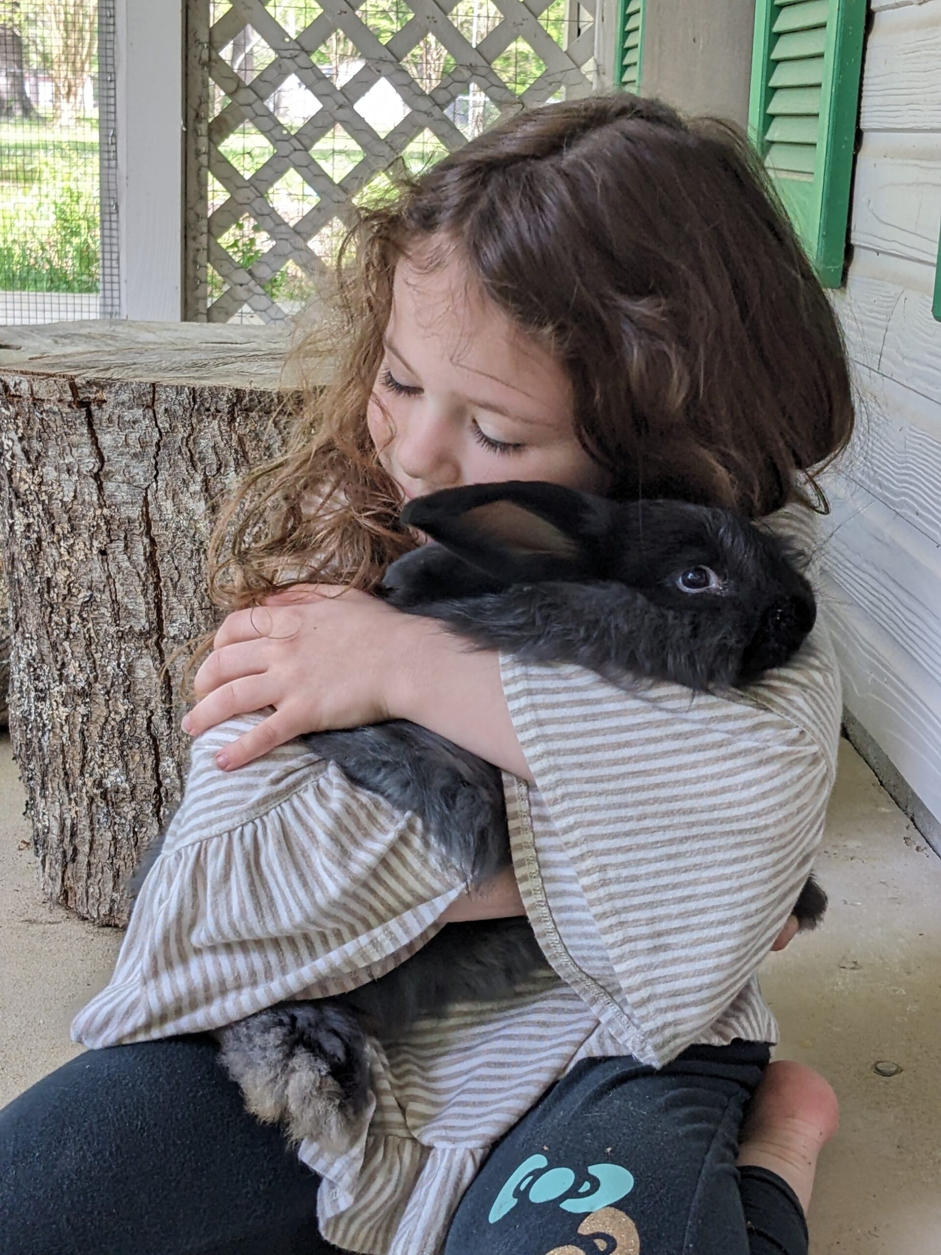 Best Animal for Small Fiber Farm: Tour My Angora Rabbitry - Spindle and ...