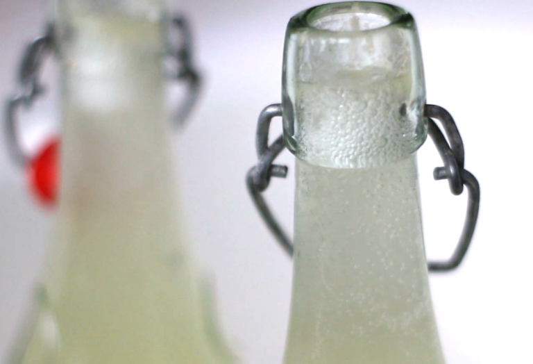 fizzy bubbles on top of lemon basil soda