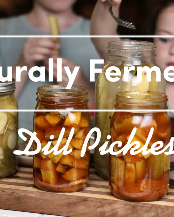 the title, naturally fermented dill pickles, and a photo of pickles in jars, with two kids standing in the background, eating the pickles.