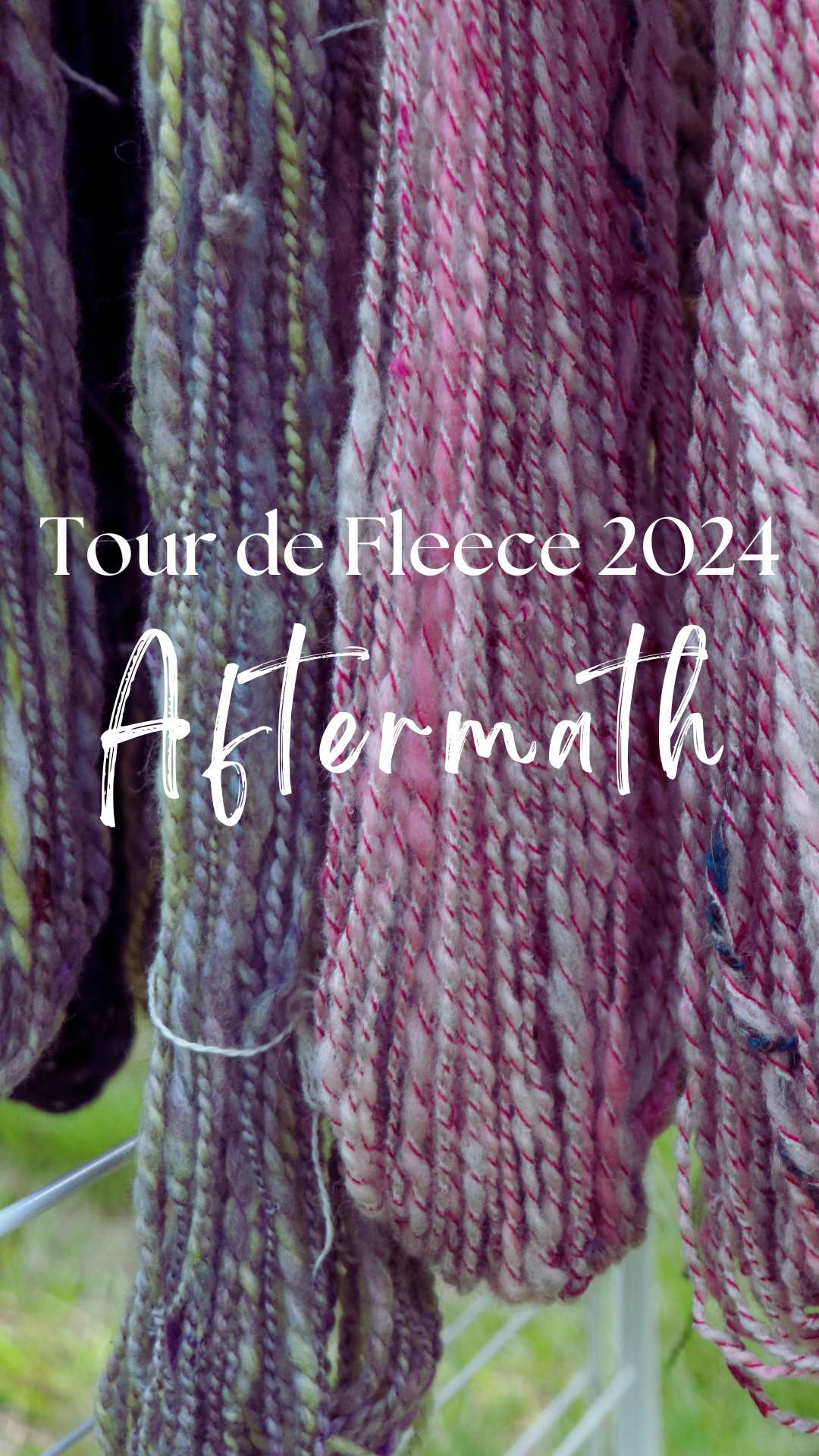 skeins of yarn hanging to dry