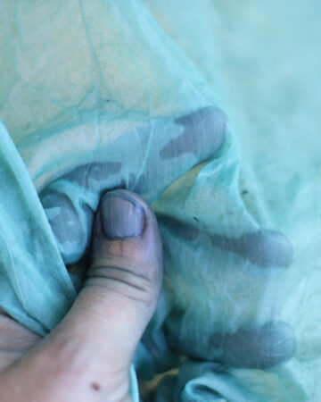 a hand holding wet, sheer silk fabric, dyed blue with fresh indigo leaves