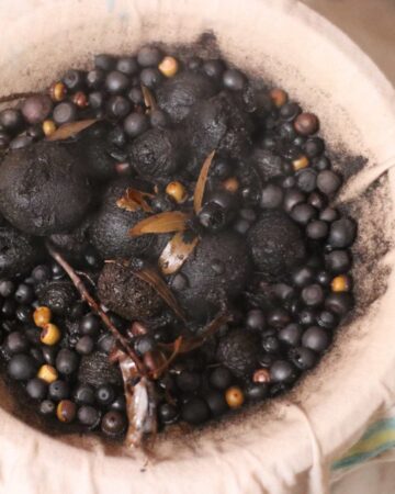 a pot of boiled acorns and walnuts