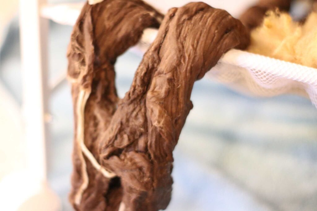wet brown cotton sliver, hanging out to dry