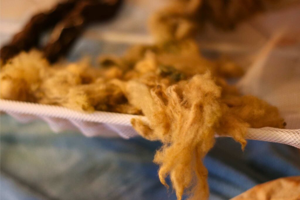 tan wool on a drying rack