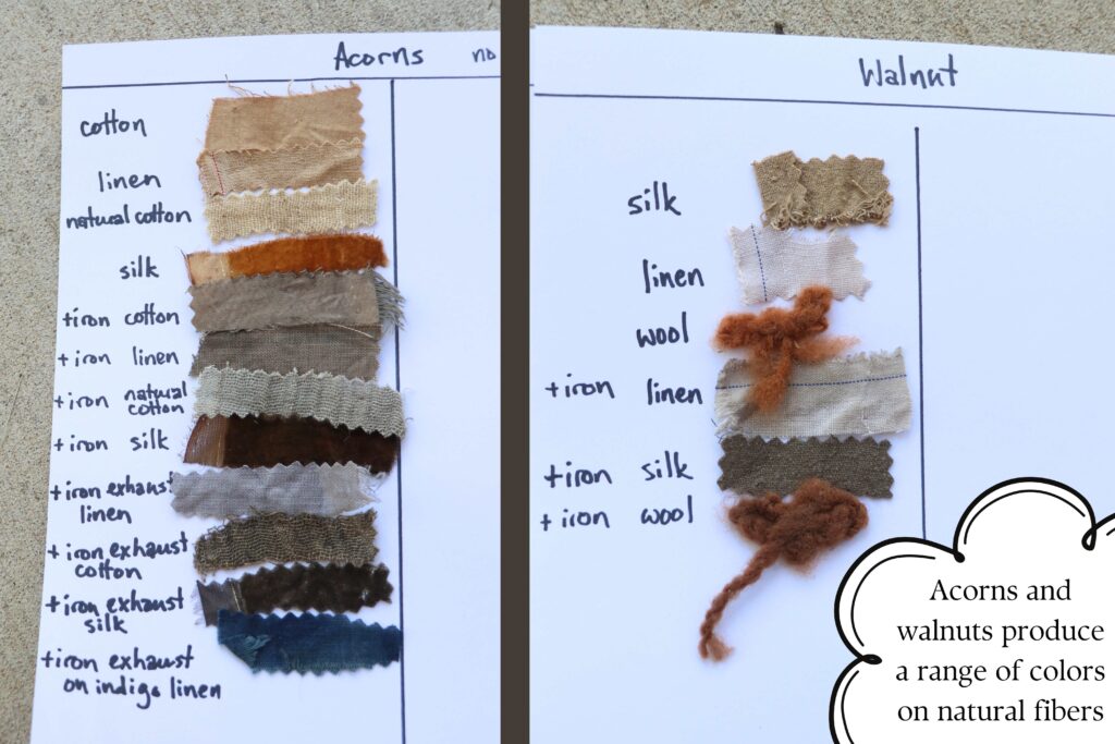 samples of fabrics and yarns dyed with acorns and walnuts