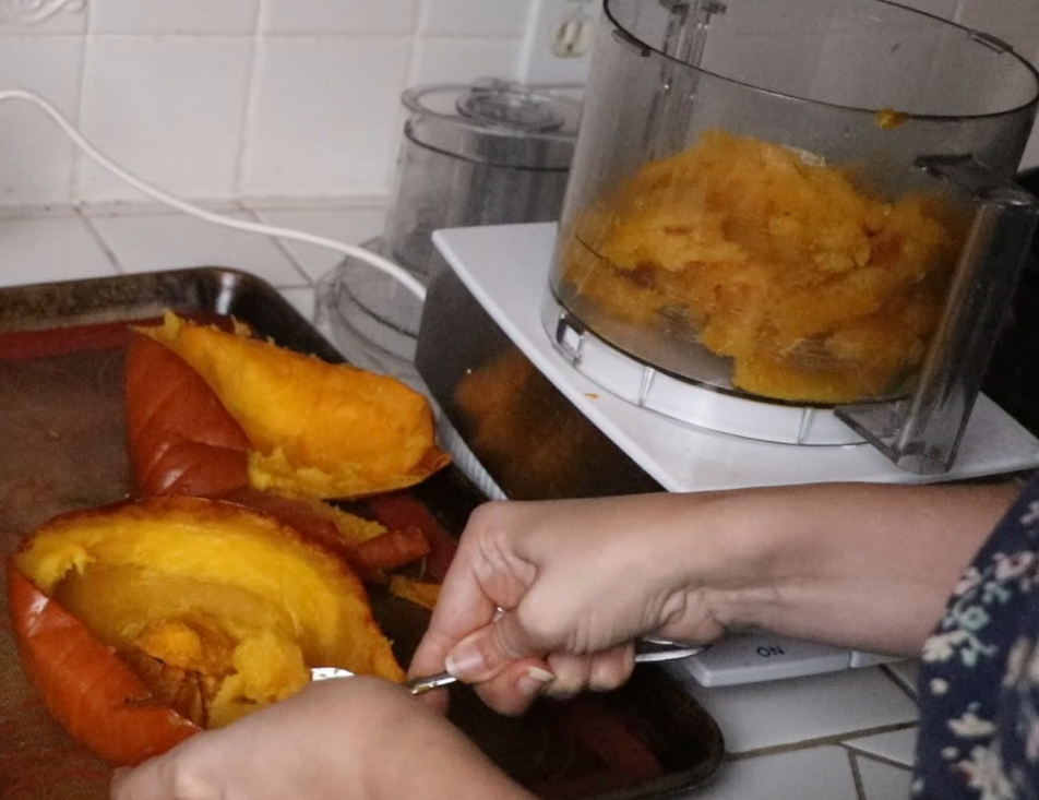 pumpkin chocolate chip cookies hands scooping baked pumpkin into a food processor to puree