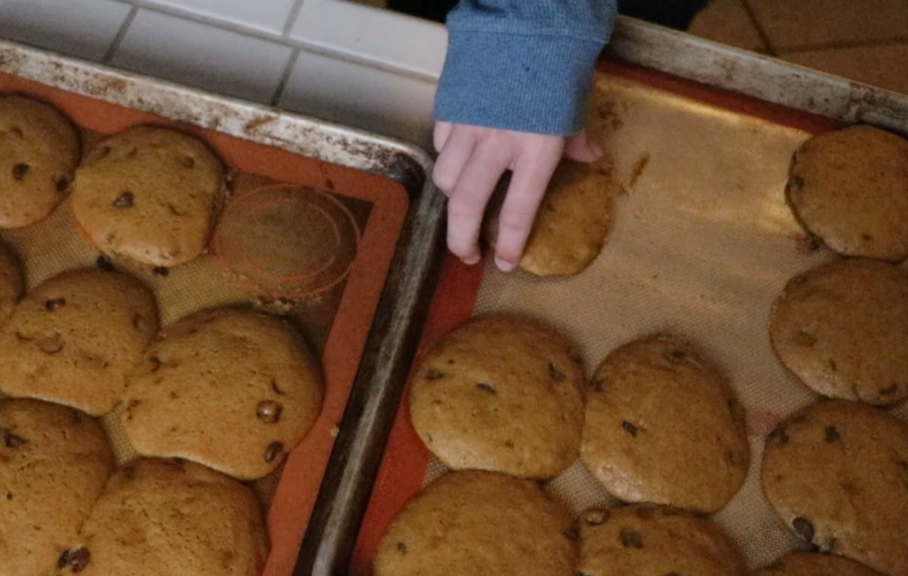 pumpkin chocolate chip cookies a hand grabbing a pumpkin chocolate chip cookie off a baking sheet