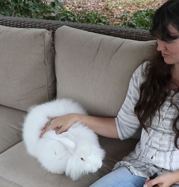 a woman petting a white giant angora rabbit