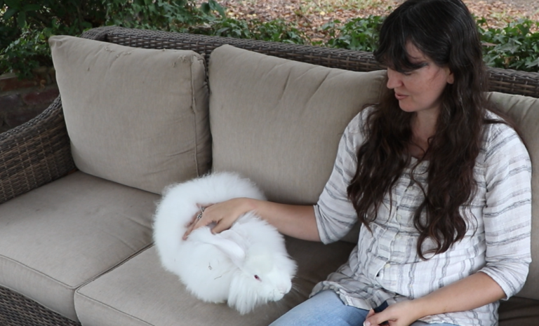 a woman petting a white giant angora rabbit
