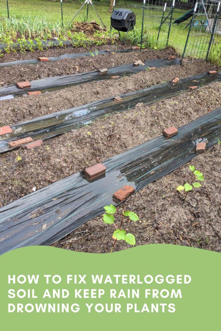 several raised garden rows, with flooded paths in between.