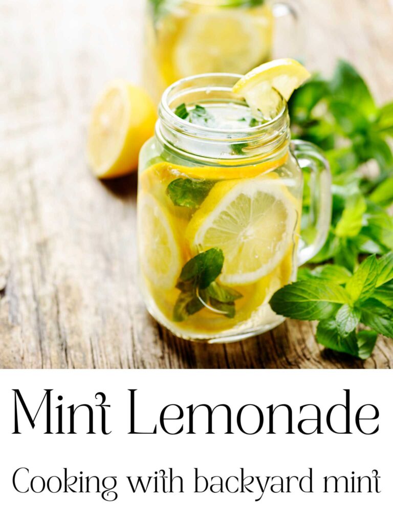 a mug of mint lemonade, with lemon slices and mint leaves, and a straw