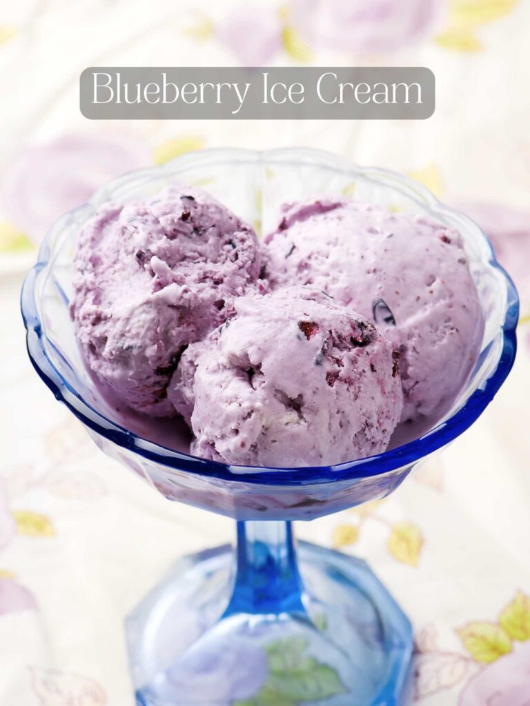 a dish of blueberry ice cream