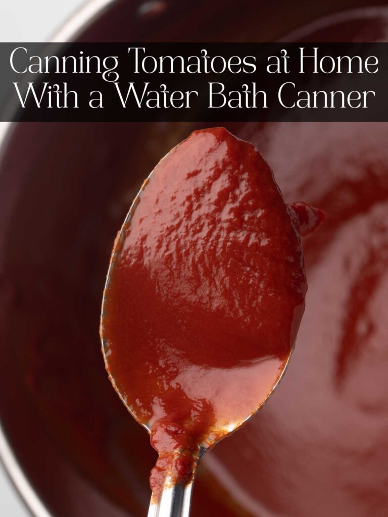 a spoonful of tomato sauce