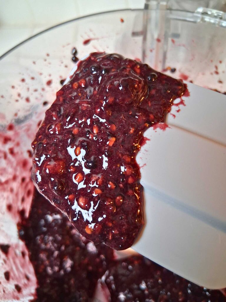 crushed blackberries with seeds