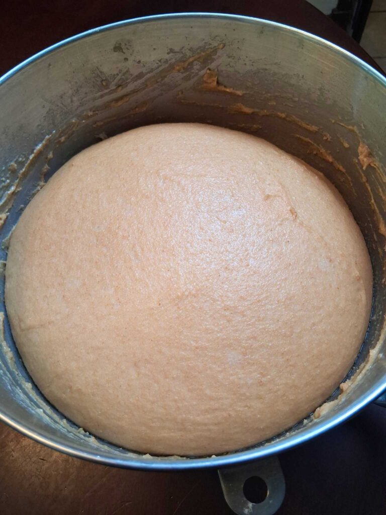 a ball of whole wheat cinnamon roll dough, after rising.