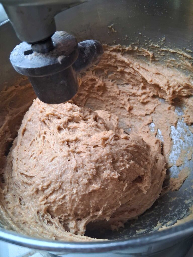 shaggy, sticky whole wheat cinnamon roll dough in a stand mixer, before kneading.